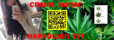 стаф Славянск-на-Кубани