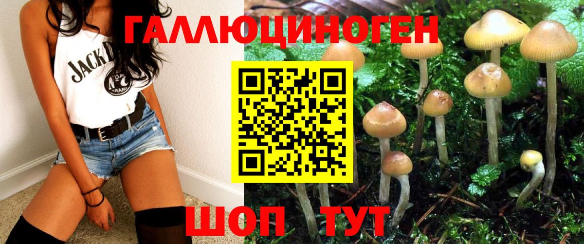 Галлюциногенные грибы ЛСД Сосновоборск